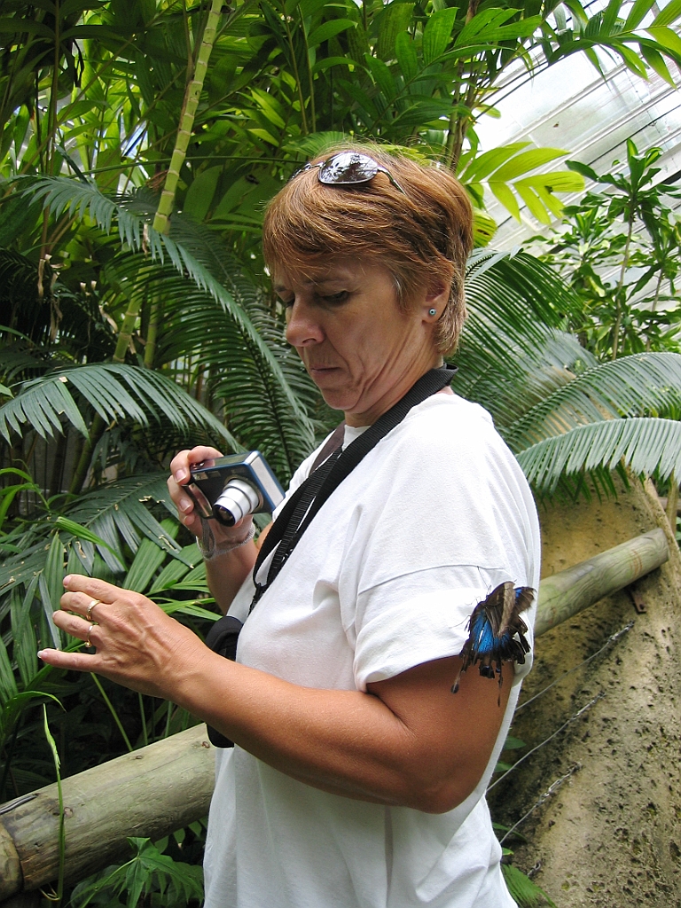 090 Kuranda Butterfly Sanctuary.jpg